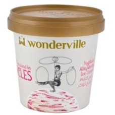 Wonderful berry yogurt ice cream cup