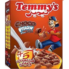Temmy's Choco Pillow 25g