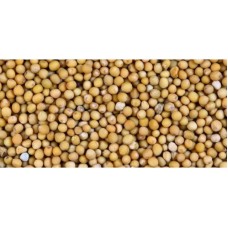 Mustard seed 250gm