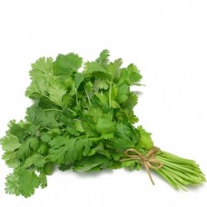 coriander bundle