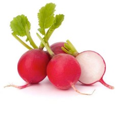 Red radish bundle